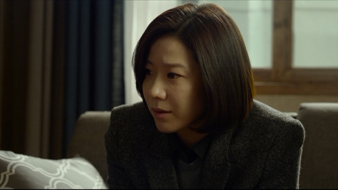 Seo Hee-jeong là một nữ cảnh sát luôn cho rằng Seo Jin-hong là người đã ra tay giết mẹ mình.