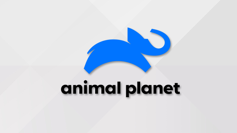 Clip TV - Xem Kênh Truyền Hình Animal Planet