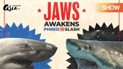 Cá Mập Cựa Mình: Phred Đọ Với Slash