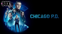 Lính Cứu Hỏa Chicago (Phần 8 - Tập 15)