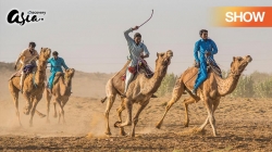 Thar: Đại Sa Mạc Của Ấn Độ