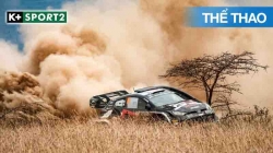 Tổng Hợp WRC Safari Rally Kenya 2024