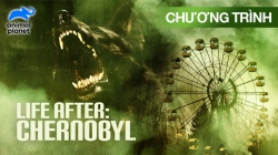 Cuộc Sống Sau Thảm Họa Chernobyl