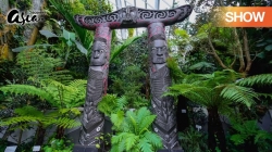 Kuwaha Maori Và Những Thế Giới Nổi Bị Lãng Quên