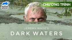 Vùng Nước Tối - Dẫn Chương Trình: Jeremy Wade (Tập 5)