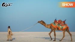 Khám Phá: Rann Xứ Kutch