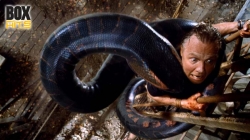 Anaconda