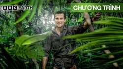 Trải Nghiệm Cuộc Sống Hoang Dã Cùng Bear Grylls (Tập 7)