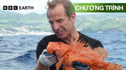 Câu Cá Mạo Hiểm Cùng Robson Green (Tập 1)