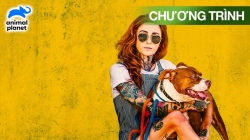 Chó Pit Bull Và Những Tù Nhân Bị Quản Chế (Tập 4)