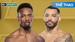 UFC 308