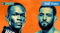UFC Fight Night 178