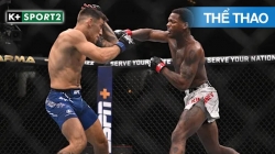 UFC Fight Night 178