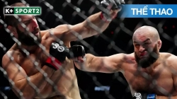 UFC Fight Night 178