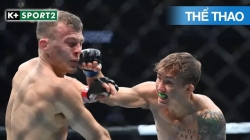 UFC Fight Night 175