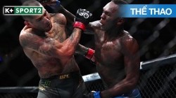 Ufc 314 - Nikita Krylov Vs Dominick Reyes