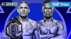 Ufc 314 - Yair Rodriguez Vs Patricio Pitbull