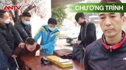 Hành Trình Phá Án: Vỏ Bọc Hoàn Hảo