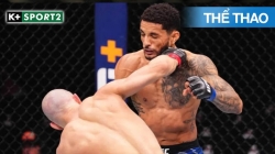 Ufc Fight Night 178