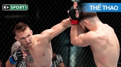 UFC Fight Night 186