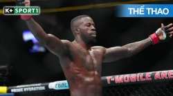 UFC Fight Night 186