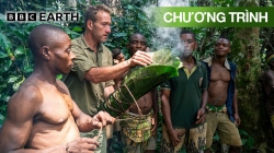 Thám Hiểm Congo Cùng Ben Fogle (Tập 3)