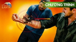 Vết Cắn Nào Đau Nhất (Phần 1 - Tập 5)