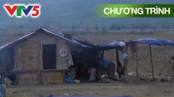 Phim Tài Liệu: Ba Mùa