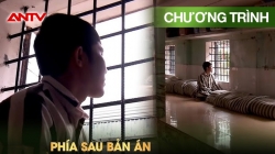 Phía Sau Bản Án: Dấu Ấn Nhân Văn Của Chủ Trương Đặc Xá