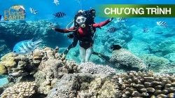 Thám Hiểm Dưới Biển Xanh (Phần 1 - Tập 3)