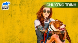 Chó Pit Bull Và Những Tù Nhân Bị Quản Chế (Tập 23)