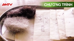 Phim Tài Liệu: Những Kỉ Vật Ấm Tình Bác