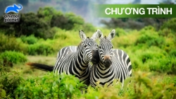 Cuộc Sống Nơi Hoang Dã Trong 24 Giờ