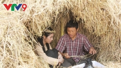 Sông Dài (Tập 5)