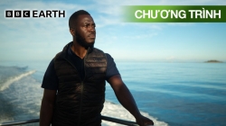 Thế Giới Tự Nhiên Của Patrick Aryee (Tập 4)