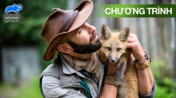 Coyote Peterson Khám Phá Miền Hoang Dã (Tập 13)