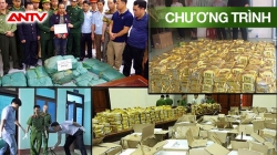 Hành Trình Phá Án: Phá Án Từ “Mắt Xích Nhỏ”