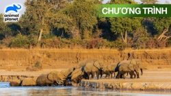 Zambia Hoang Dã (Tập 1)