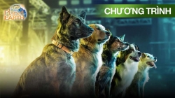 Những Chú Chó Hàng Đầu Nước Mỹ (Phần 3 - Tập 1)