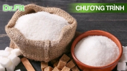 Điều Chưa Biết Về Đường (Tập 1)