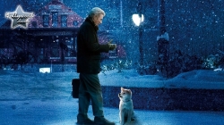 Hachi: Câu Chuyện Về Một Chú Chó