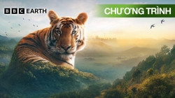Châu Á (Tập 2)