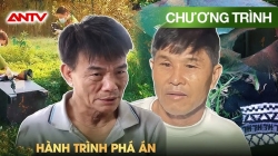 Hành Trình Phá Án: Những Vụ Trộm Bí Ẩn