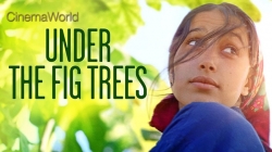 Dưới Tán Cây Sung