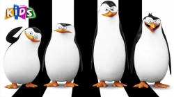 Biệt Đội Cánh Cụt Vùng Madagascar