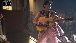 Elvis