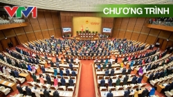 Trực Tiếp Kỳ Họp Quốc Hội