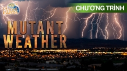 Thời Tiết Đột Biến (Phần 1 - Tập 5)