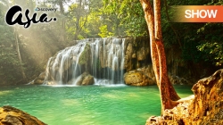 Borneo - Khu Rừng Kỳ Diệu