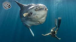 Blển Xanh Sâu Thẳm